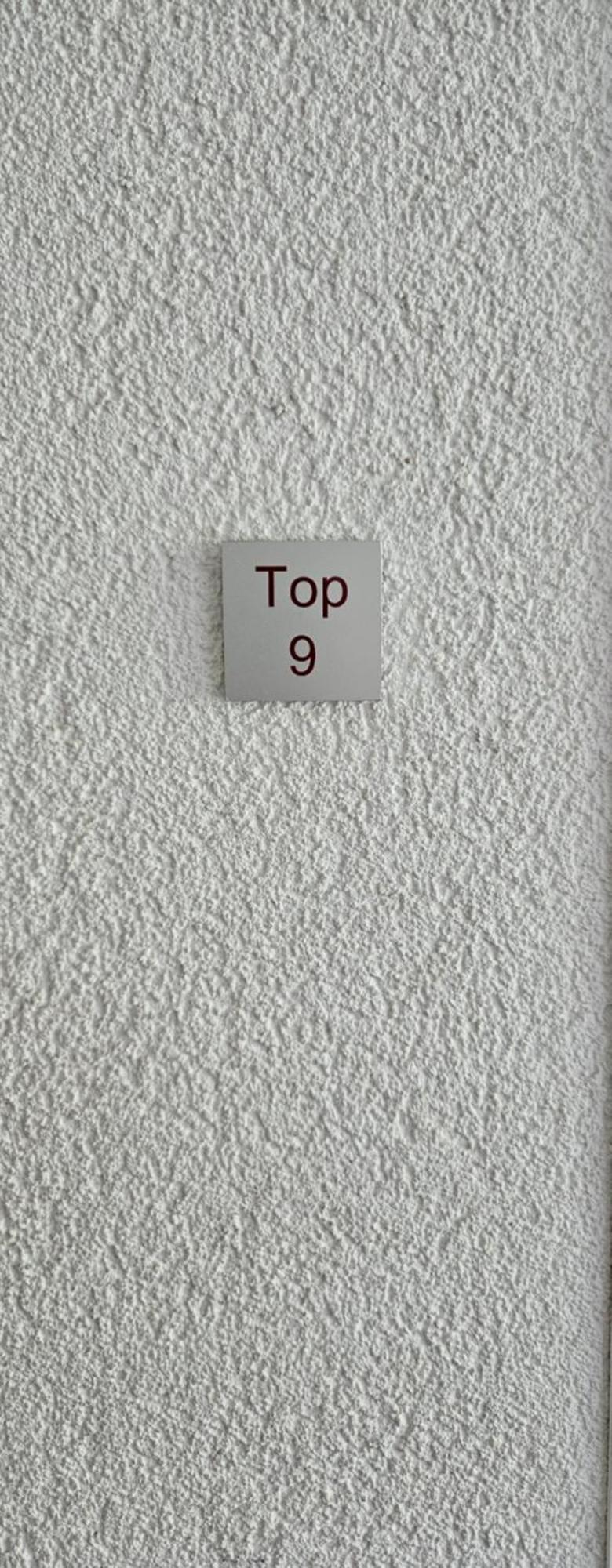 Damuelser Horn Rum bild